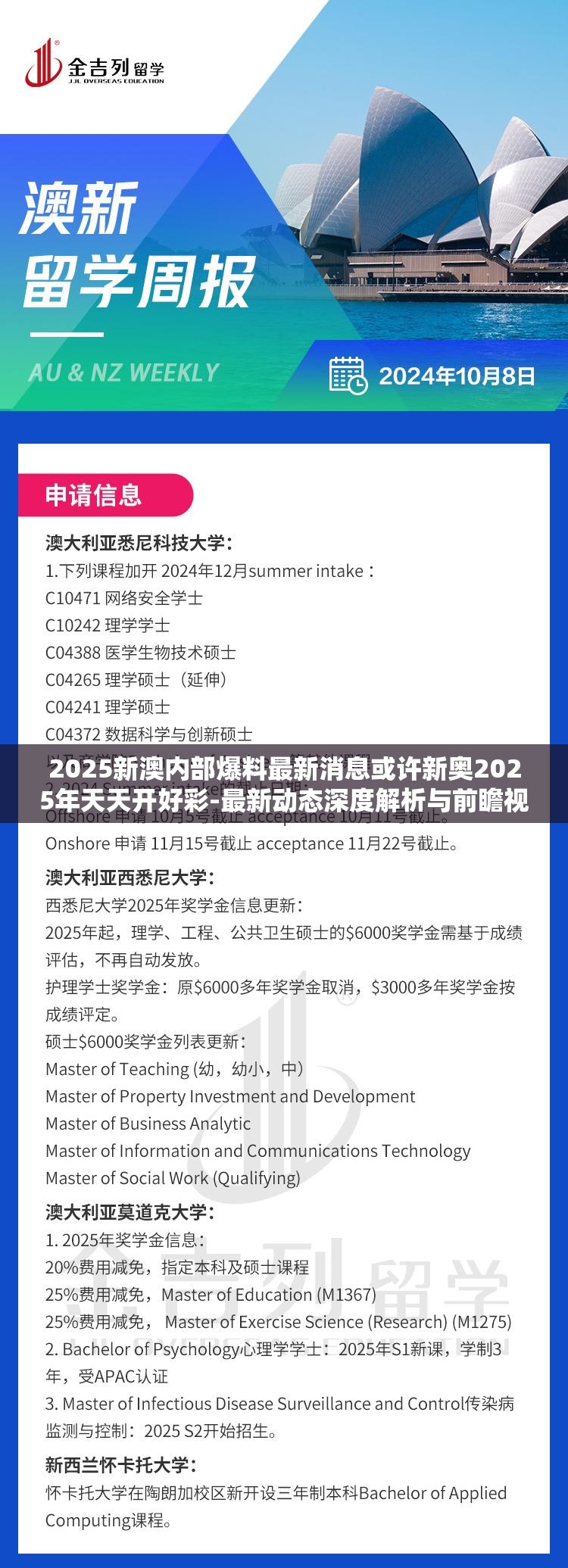 深度解析与前瞻视频报道